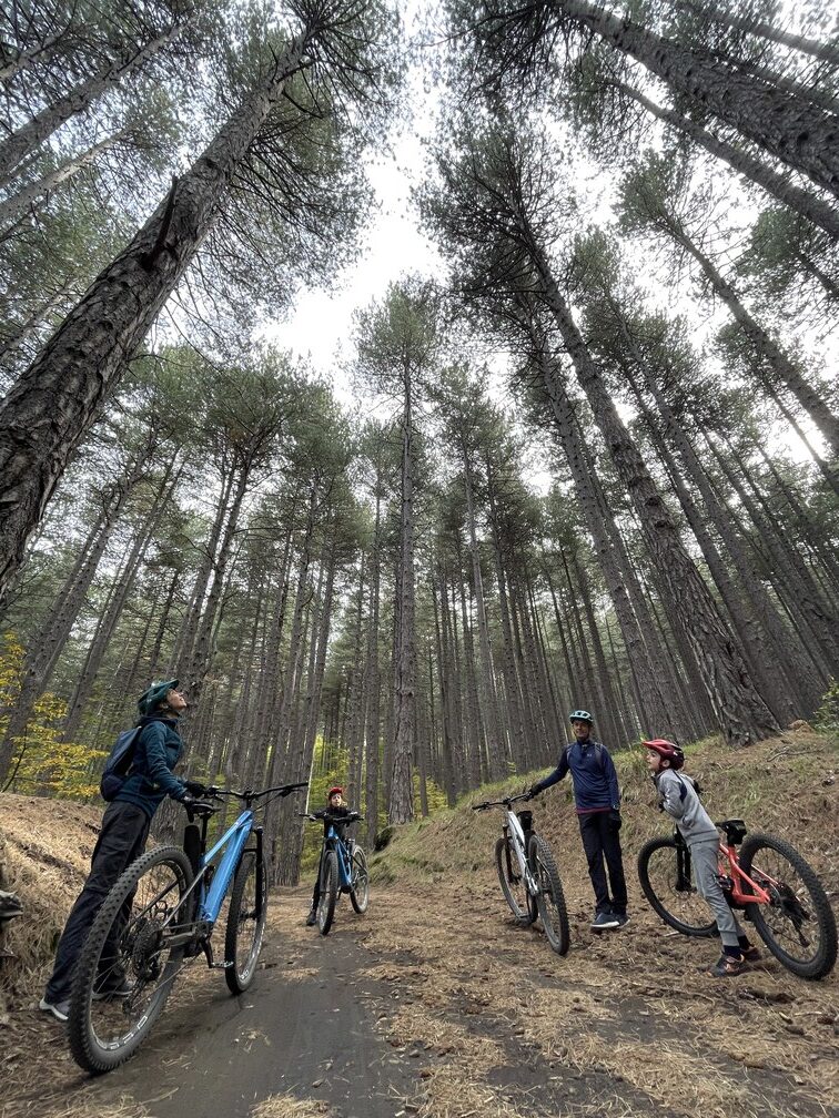 Etna All Around - Famiglia in autunno con la foresta Ragabo Etna All Around - Famiglia in autunno con la foresta Ragabo