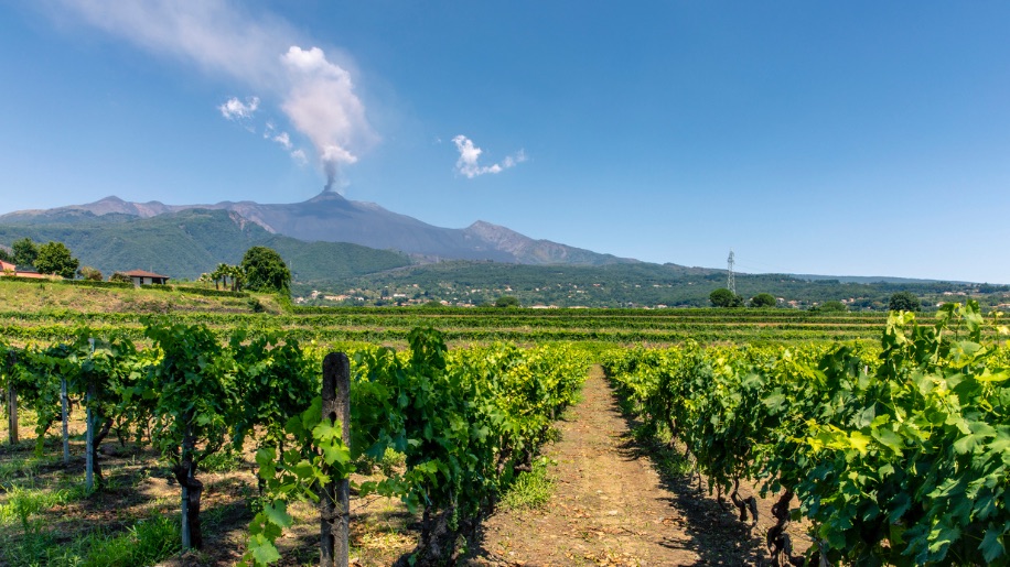 Etna Bike & Wine - Winery Etna Area 1