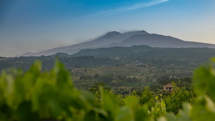 Etna Bike & Wine - Winery Etna Area 3 Etna Bike & Wine - Winery Etna Area 3