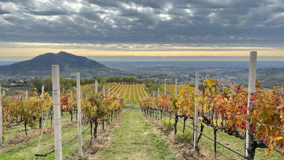 Etna Bike & Wine - Winery Etna Area Etna Bike & Wine - Winery Etna Area